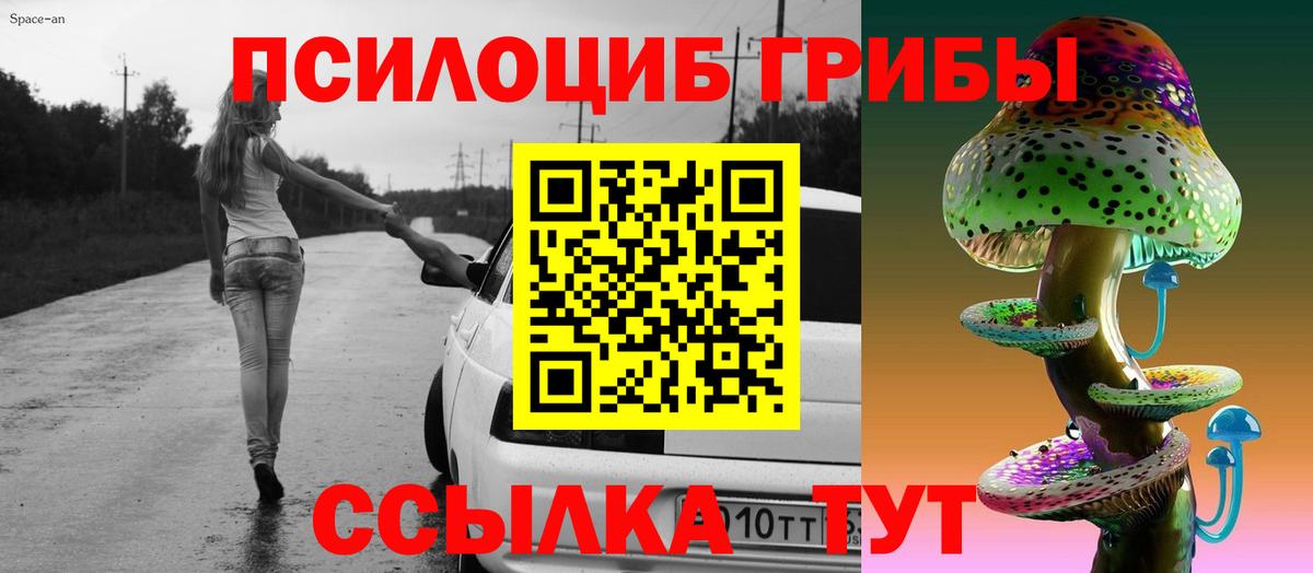 Курчалой  Псилоцибиновые грибы мицелий  Вход с VPN 