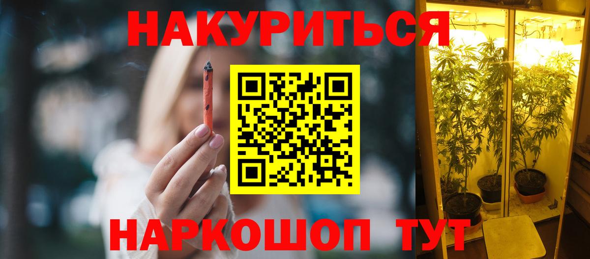 Каннабис Ganja Курчалой